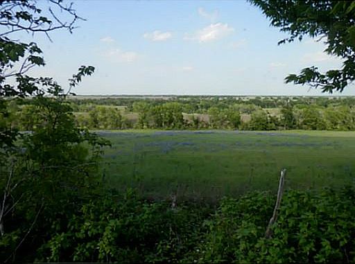 4th image of 467 Cr 137a County Road