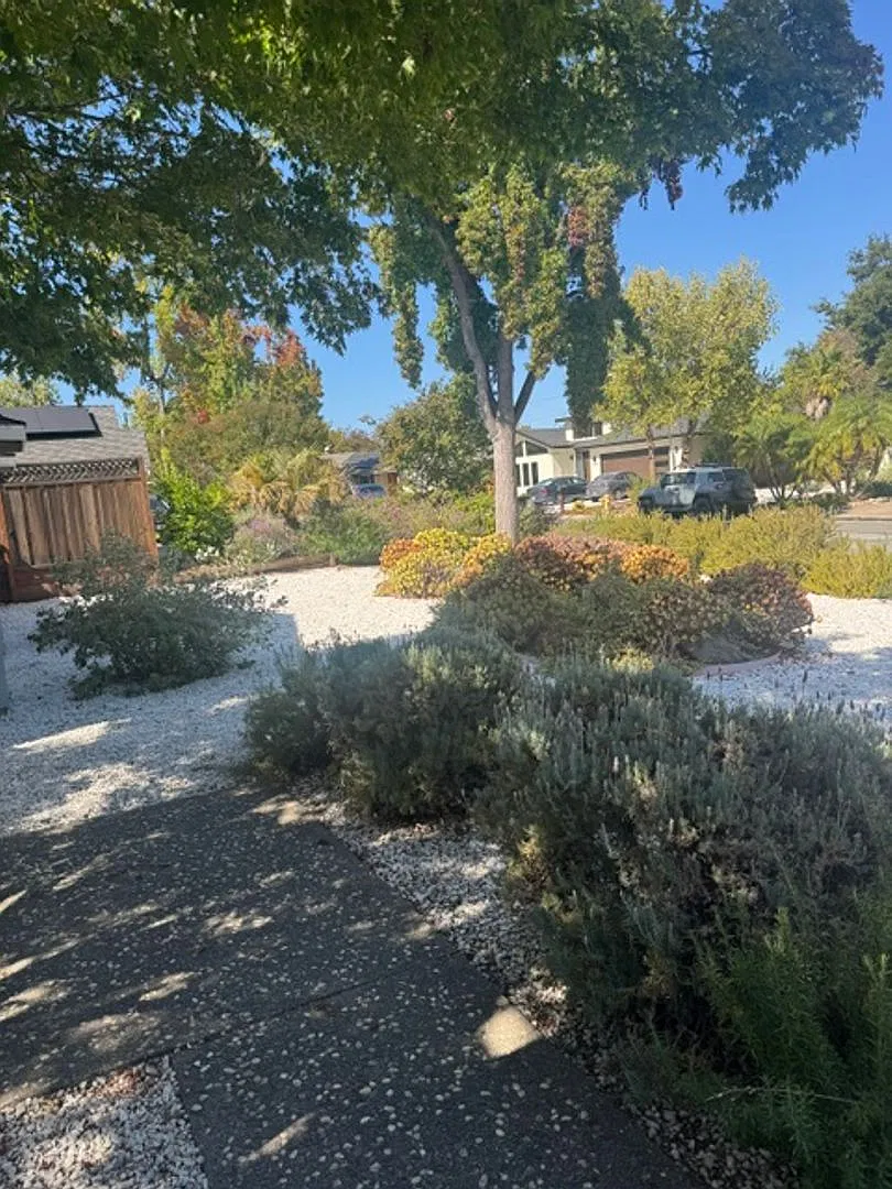 Amazing 5BR 3BA Home in Los Altos Highlands — Photo 4