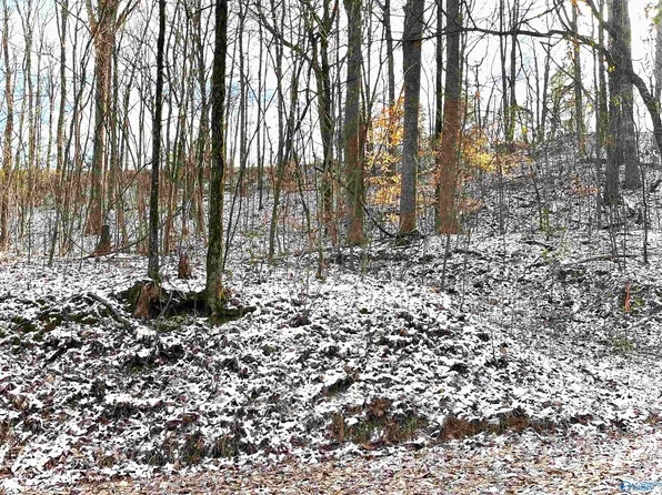 162 Old Burney Mountain Rd, Falkville, AL 35622