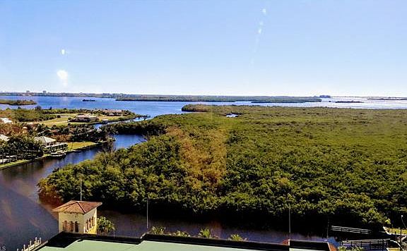 4th image of 5781 Cape Harbour Dr APT 1510