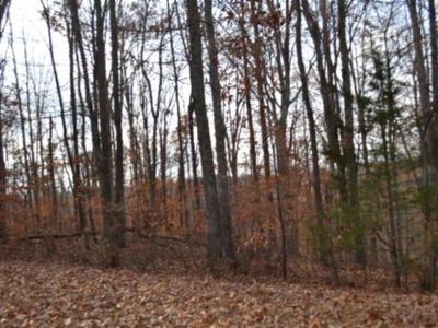 670AC Wet Mill Creek Rd, Celina, TN, 38551