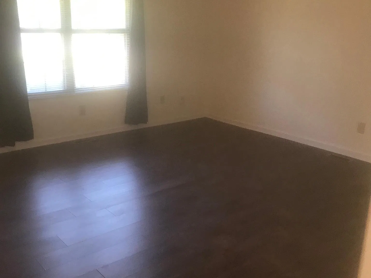 1 bed, 800 sqft, $1,075 — Photo 3