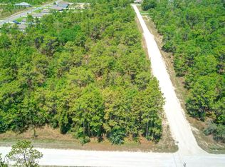 2 Velvet Scoter Ave, Brooksville, FL 34614