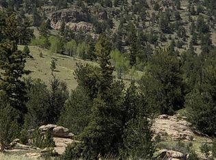 3112 Remington Rd, Como, CO 80456