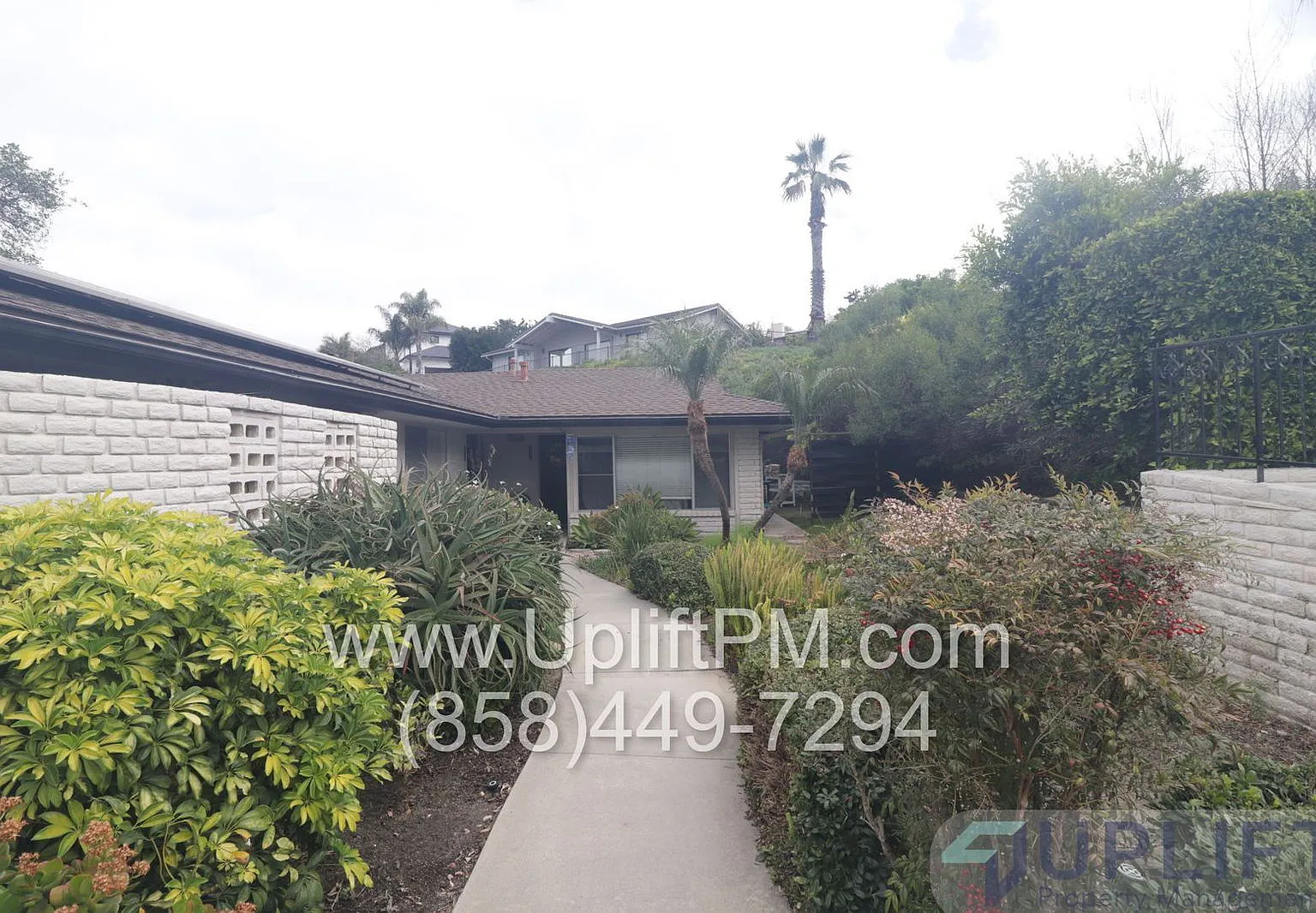 1 bed, 1.0 bath, $2,200 — Photo 2