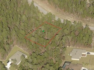 23 Village Center Dr, Homosassa, FL 34446