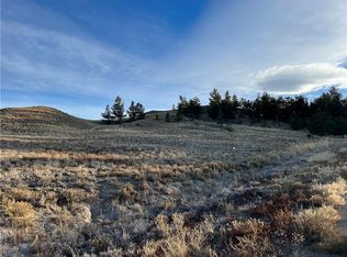 550 Saddle Trl, Hartsel, CO 80449