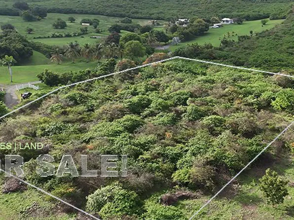 114-H Green Cay EA, St. Croix, VI 00820