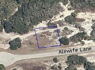 Alewife Ln, Poinciana, FL 34759
