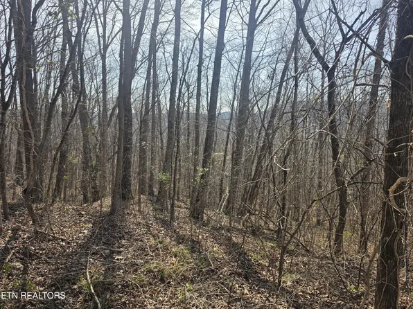 Glenoby Rd, Jamestown, TN 38556