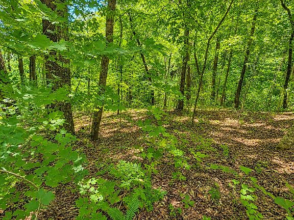 3rd image of 0 Woodcrest Dr Lot 312