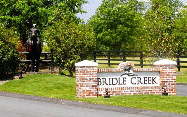 1st image of 419 Bridle Creek Trl