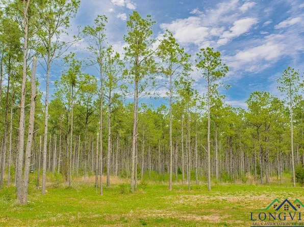 177 Red Oak Rd, Hallsville, TX 75650