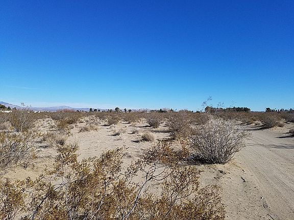 Looking East, Bullrush Rd.