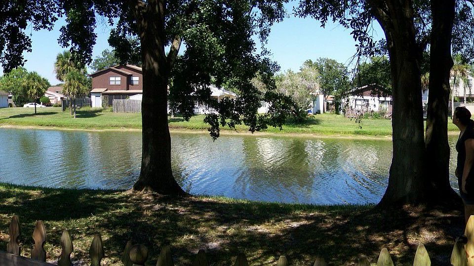 Backyard Veiw