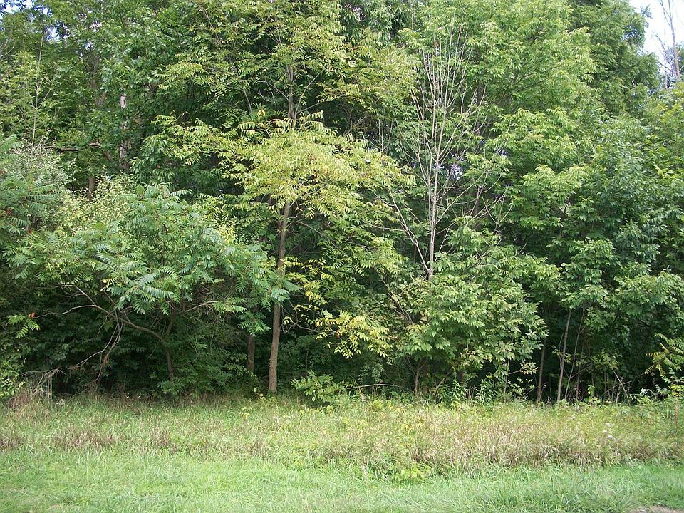 2nd image of S 325 W