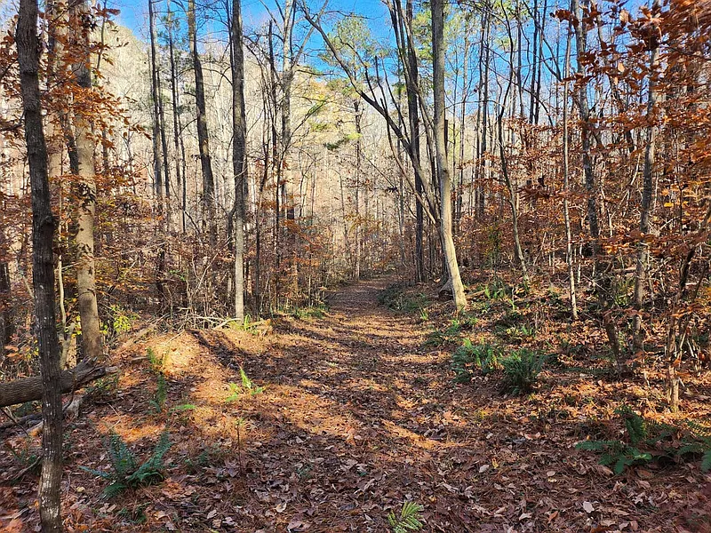 Thumbnail 20