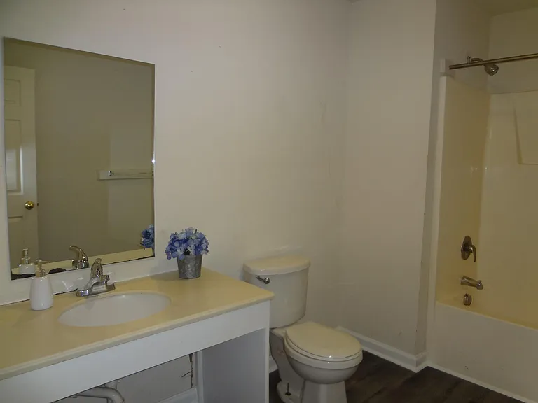 2809 Avent Ferry Rd #111 — Photo 6
