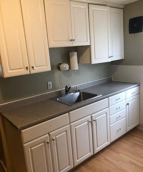 Kitchen cabinets - counters/sink