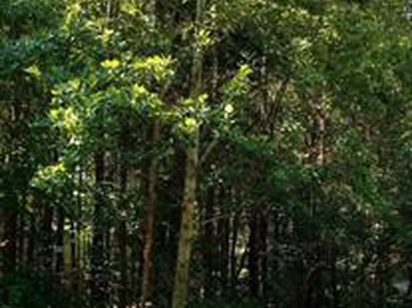 1200 Eastover Pkwy, Locust Grove, VA 22508