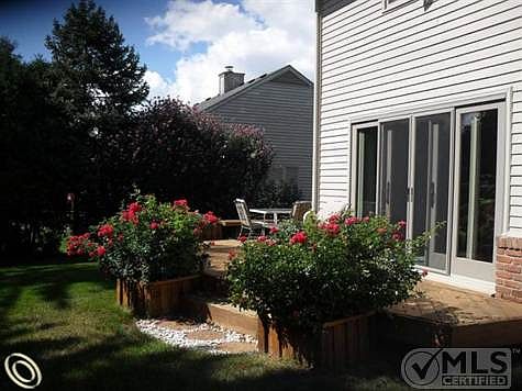 Back Deck
