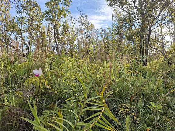 4th image of Noe Kuahiwi Rd Lot 30
