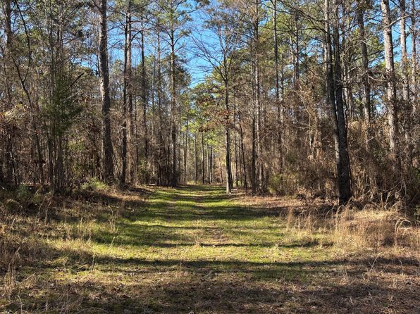221 Blue Bird Rd, Sulligent, AL 35586