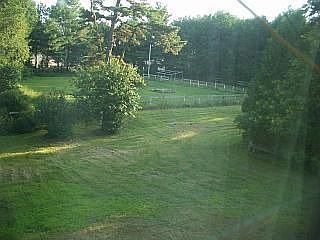 View of backyard & paddocks