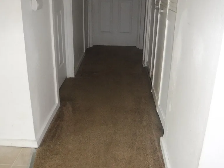d510 — Photo 8
