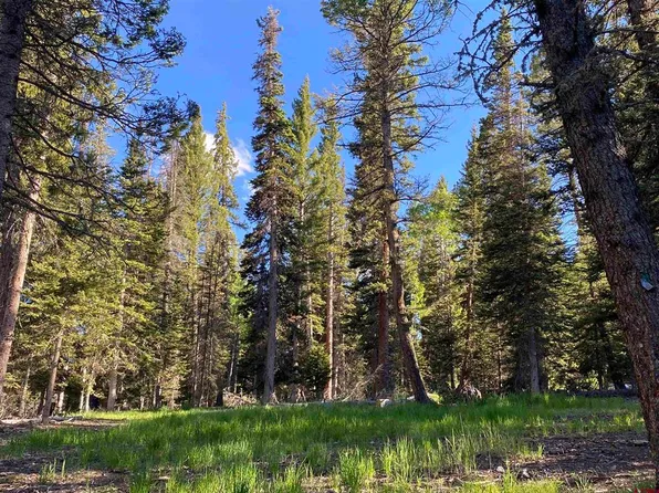 610 Snowshoe Lane, Cimarron, CO 81220
