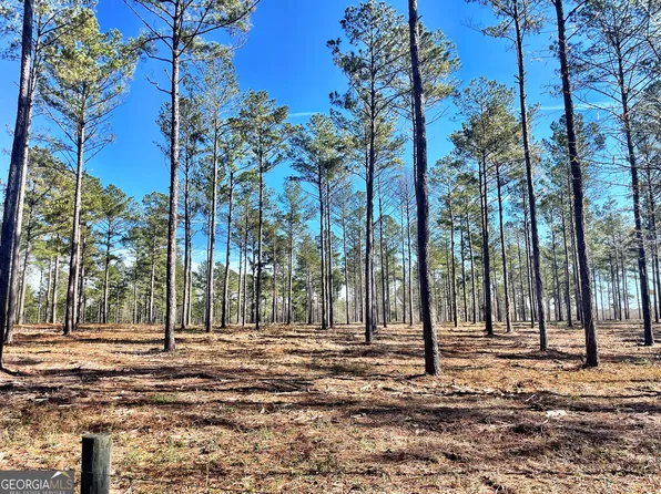 8 Duke Rd, Perry, GA 31069