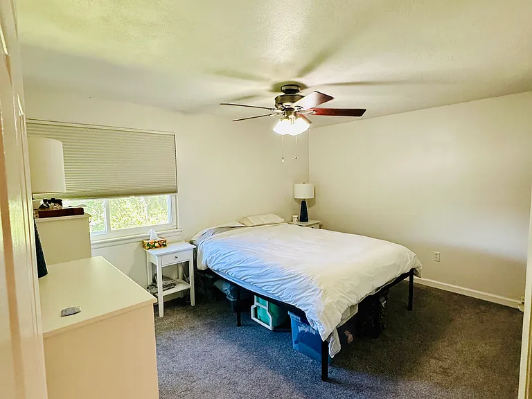 2901 Needlewood Ln — Photo 18