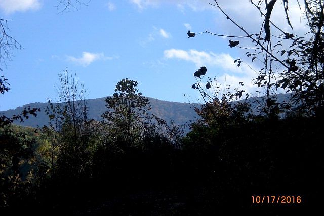2nd image of 930 Long Branch Rd