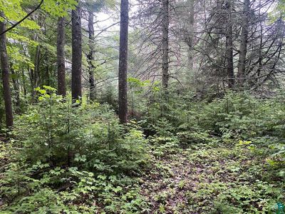 0 S Jones Rd, Washburn, WI, 54891