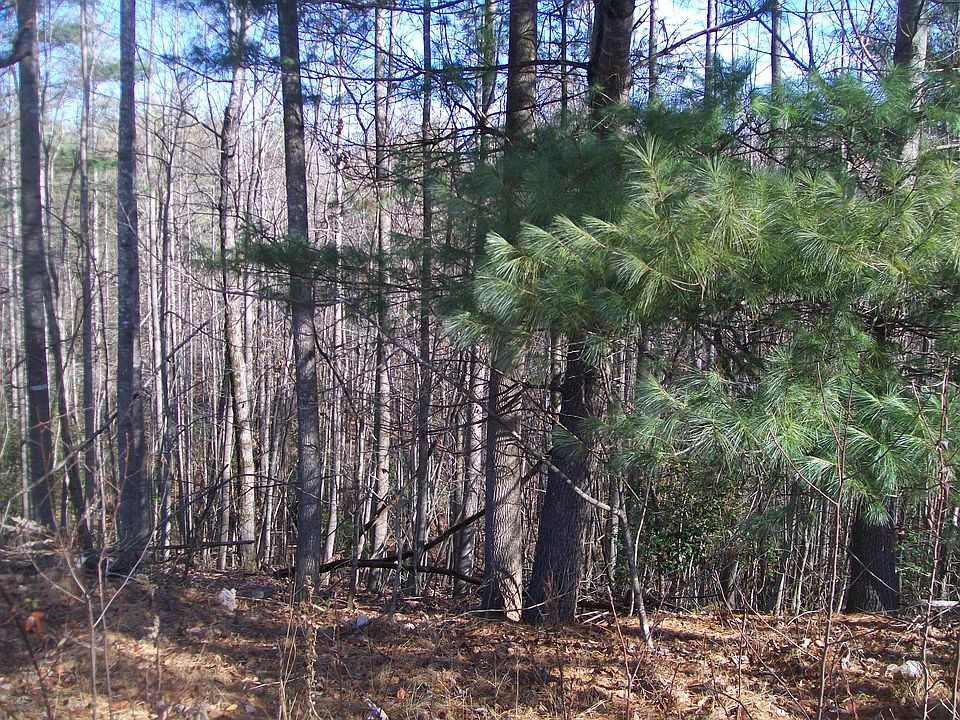2nd image of 510 Pumpkin Patch Rd