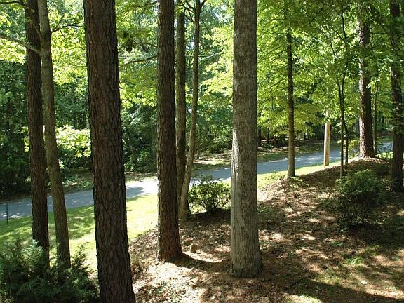 View from Front Porch