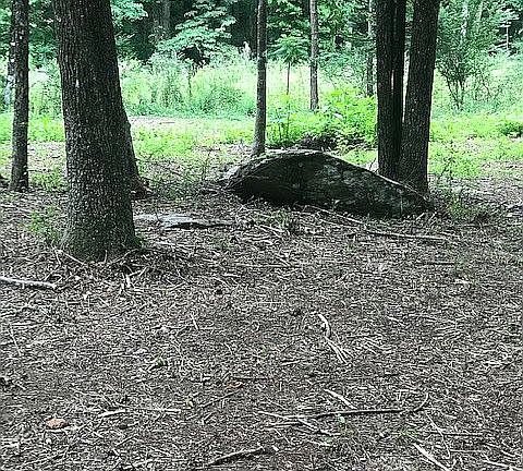 3rd image of 167 Creekwood Dr