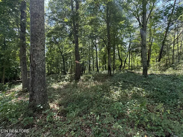 140 Padstow Ln, Lenoir City, TN 37772