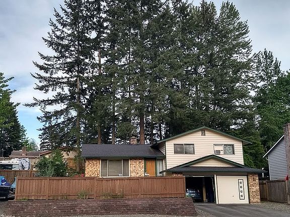 2020 after tree removal