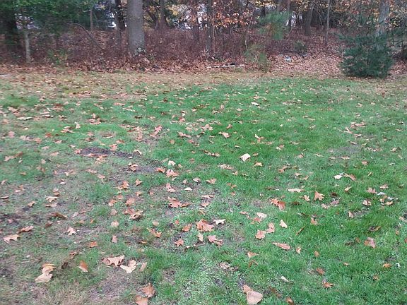 5th image of 50A Birchwood Dr #50