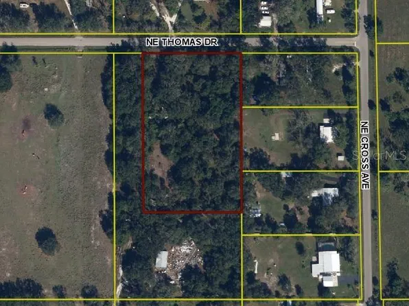 6423 NE THOMAS DRIVE LOT 20, ARCADIA, FL 34266