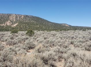 Lot 589 County Lane 6, Fort Garland, CO 81133