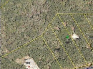 34161 Rim Rock St, Webster, FL 33597