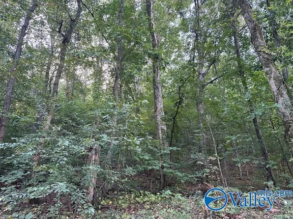 Wyeth Dr, Guntersville, AL 35976