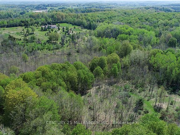 5th image of 17218 Innis Lake Rd
