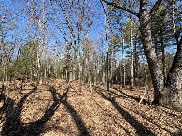 Forest Loop Rd, Rhinelander, WI 54501