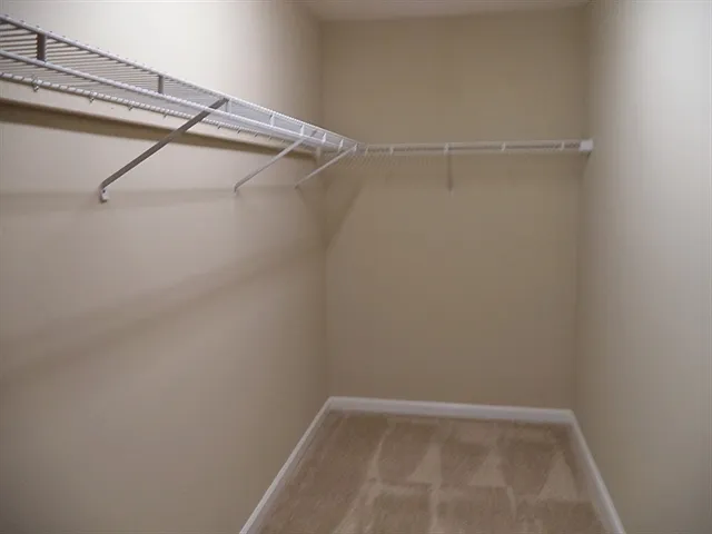 1517 Autumn Ridge Dr — Photo 16