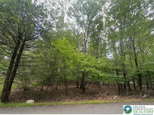 LOT 1203 Crabapple Ln, Kunkletown, PA 18058