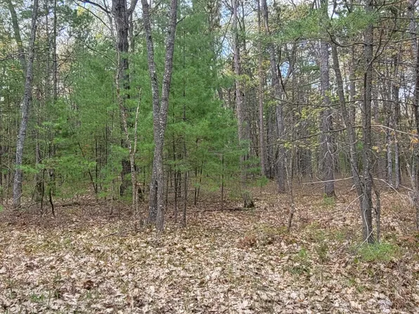 Clay Banks Rd, Rogers City, MI 49779