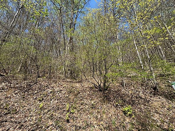 2nd image of LOT 4 Outlook Rd